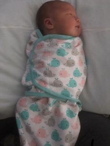 TFG Trendlines December 2018 Little Additions